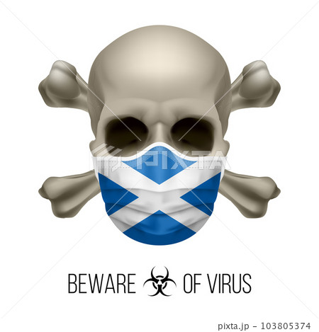 Human Skull 103805374