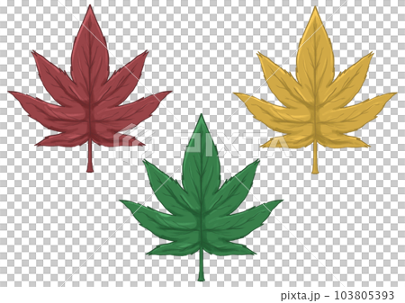 maple leaf 1 maple leaf 1 103805393