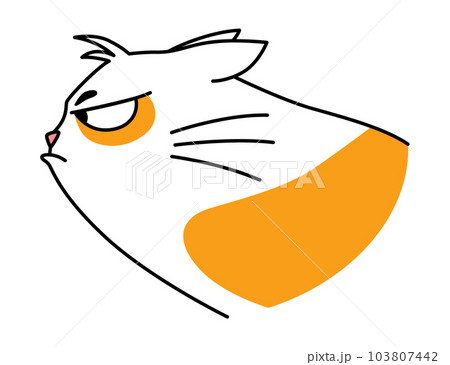 Cat expression. Cartoon pet with cute emotion, creative emoji of home animal. Vector illustration of funny mood of cat with big eyes 103807442