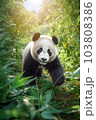 笹林を歩く子供のジャイアントパンダ 103808386