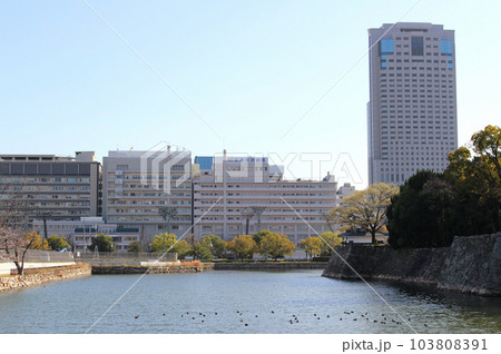 広島城のお堀越しに見える広島市立広島市民病院 103808391