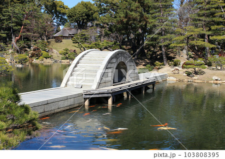 縮景園の跨虹橋と錦鯉 103808395