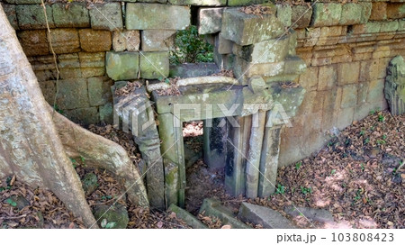 A fragment of an ancient ruined wall and passage in a Cambodian forest. 103808423
