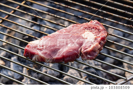 fresh raw beef steak fresh raw beef steak 103808509