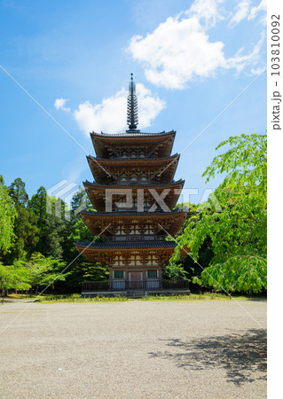 醍醐寺 五重塔 若葉に新緑 青もみじ 醍醐寺 五重塔 若葉に新緑 青もみじ 103810092