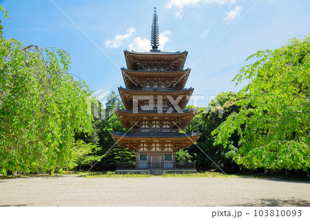 醍醐寺 五重塔 若葉に新緑 青もみじ 醍醐寺 五重塔 若葉に新緑 青もみじ 103810093