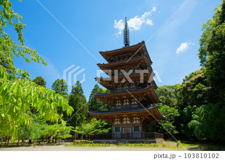 醍醐寺 五重塔 若葉に新緑 青もみじ 醍醐寺 五重塔 若葉に新緑 青もみじ 103810102