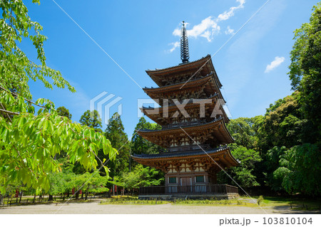 醍醐寺 五重塔 若葉に新緑 青もみじ 醍醐寺 五重塔 若葉に新緑 青もみじ 103810104