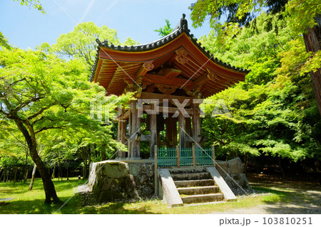 醍醐寺 鐘楼 若葉に新緑 青もみじ 醍醐寺 鐘楼 若葉に新緑 青もみじ 103810251