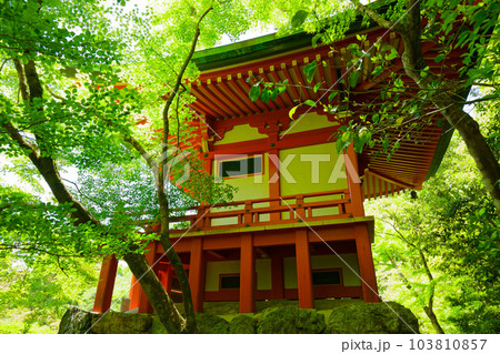 弁天堂 林泉 池 若葉に新緑 青もみじ 醍醐寺 弁天堂 林泉 池 若葉に新緑 青もみじ 醍醐寺 103810857