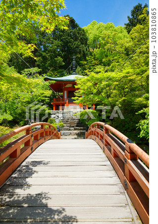 林泉に架かる橋 弁天堂 若葉に新緑 青もみじ 醍醐寺 林泉に架かる橋 弁天堂 若葉に新緑 青もみじ 醍醐寺 103810865