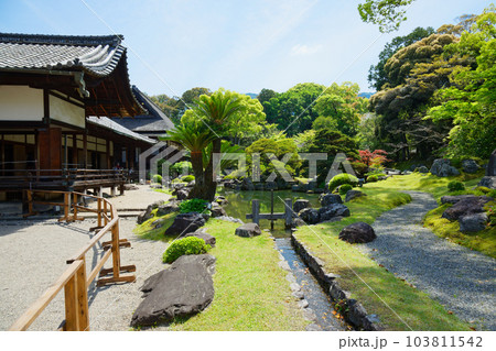 三宝院庭園　醍醐寺　若葉に新緑　青もみじ 103811542