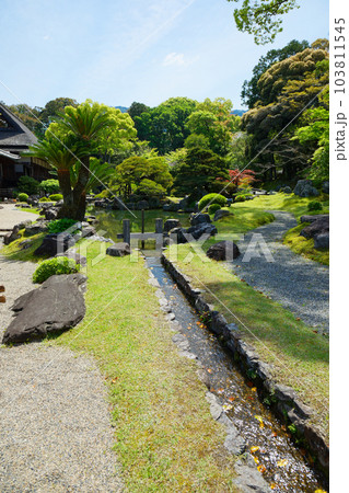 三宝院庭園 醍醐寺 若葉に新緑 青もみじ 三宝院庭園 醍醐寺 若葉に新緑 青もみじ 103811545