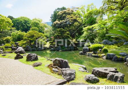 三宝院庭園　醍醐寺　若葉に新緑　青もみじ 103811555