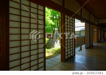 表書院　三宝院庭園　醍醐寺　若葉に新緑　青もみじ 103811561