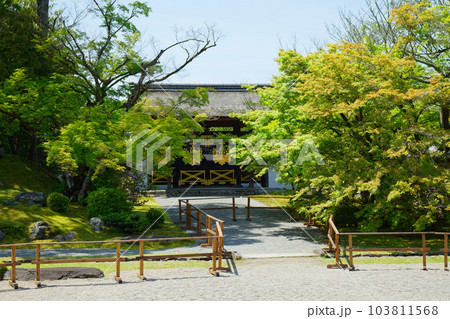 唐門 三宝院庭園 醍醐寺 若葉に新緑 青もみじ 唐門 三宝院庭園 醍醐寺 若葉に新緑 青もみじ 103811568