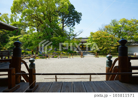 唐門　三宝院庭園　醍醐寺　若葉に新緑　青もみじ 103811571