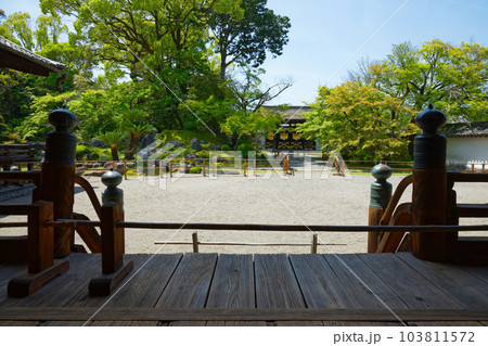 唐門　三宝院庭園　醍醐寺　若葉に新緑　青もみじ 103811572