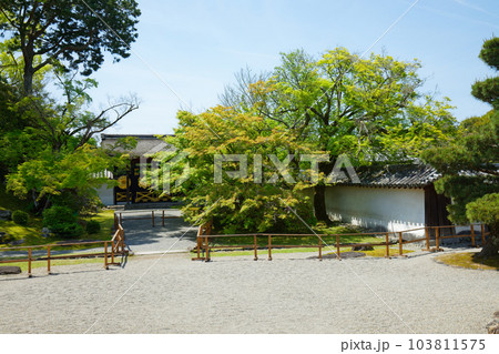 唐門 三宝院庭園 醍醐寺 若葉に新緑 青もみじ 唐門 三宝院庭園 醍醐寺 若葉に新緑 青もみじ 103811575