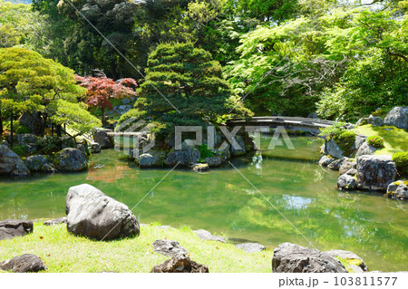 三宝院庭園　醍醐寺　若葉に新緑　青もみじ 103811577