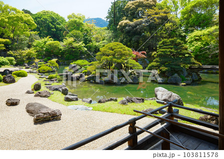 三宝院庭園　醍醐寺　若葉に新緑　青もみじ 103811578