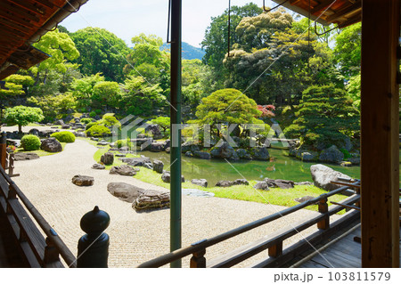 三宝院庭園　醍醐寺　若葉に新緑　青もみじ 103811579