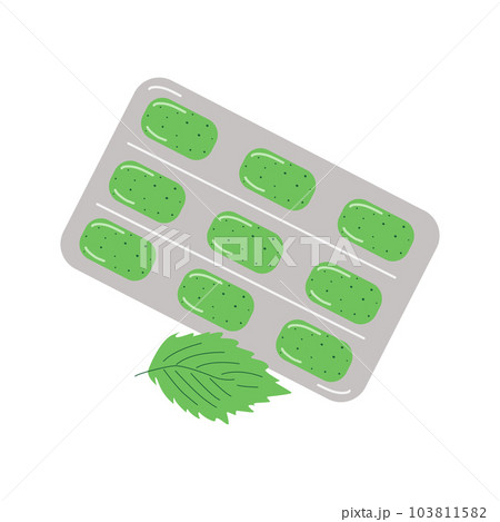 Mint flavor chewing gum. Fresh breath, hygiene. Packaging with gum. Vector flat illustration. Mint flavor chewing gum. Fresh breath, hygiene. Packaging with gum. Vector flat illustration. 103811582