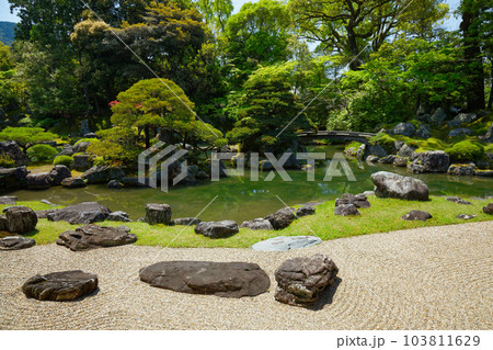 三宝院庭園　醍醐寺　若葉に新緑　青もみじ 103811629