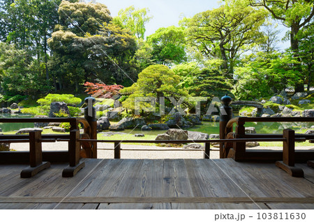 三宝院庭園 醍醐寺 若葉に新緑 青もみじ 三宝院庭園 醍醐寺 若葉に新緑 青もみじ 103811630
