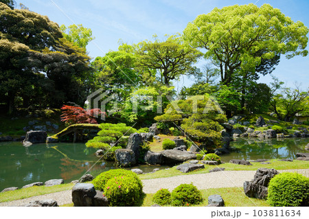 三宝院庭園　醍醐寺　若葉に新緑　青もみじ 103811634