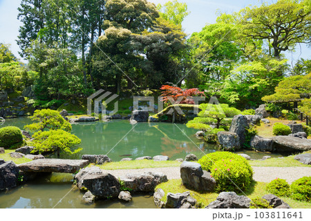 三宝院庭園 醍醐寺 若葉に新緑 青もみじ 三宝院庭園 醍醐寺 若葉に新緑 青もみじ 103811641