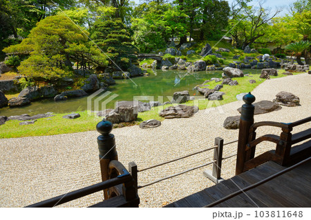 三宝院庭園　醍醐寺　若葉に新緑　青もみじ 103811648