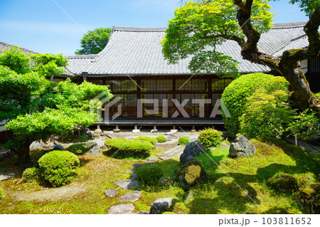 三宝院庭園　醍醐寺　若葉に新緑　青もみじ 103811652