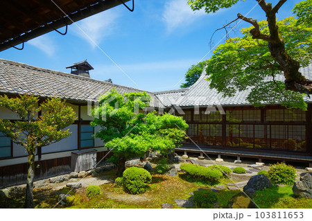 三宝院庭園 醍醐寺 若葉に新緑 青もみじ 三宝院庭園 醍醐寺 若葉に新緑 青もみじ 103811653