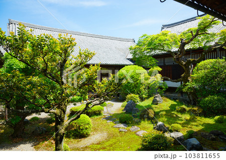 三宝院庭園 醍醐寺 若葉に新緑 青もみじ 三宝院庭園 醍醐寺 若葉に新緑 青もみじ 103811655