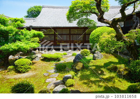 表書院　三宝院庭園　醍醐寺　若葉に新緑　青もみじ 103811658