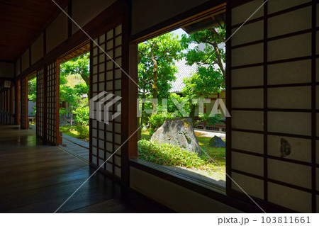 表書院 三宝院庭園 醍醐寺 若葉に新緑 青もみじ 表書院 三宝院庭園 醍醐寺 若葉に新緑 青もみじ 103811661