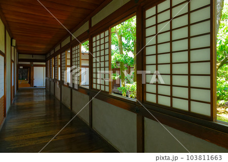 表書院　三宝院庭園　醍醐寺　若葉に新緑　青もみじ 103811663