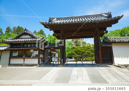 三宝院庭園　大玄関　醍醐寺　若葉に新緑　青もみじ 103811665