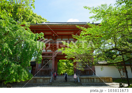 醍醐寺　西大門　仁王門　若葉に新緑　青もみじ 103811673