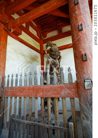 醍醐寺　西大門　仁王門　若葉に新緑　青もみじ 103811675