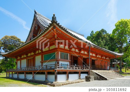 醍醐寺 金堂 若葉に新緑 青もみじ 醍醐寺 金堂 若葉に新緑 青もみじ 103811692