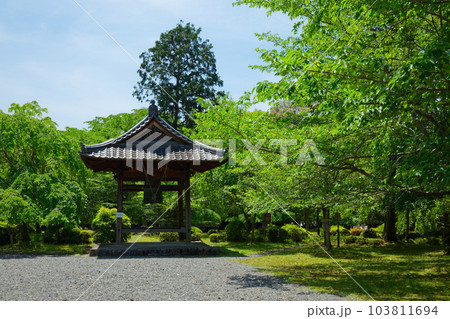 醍醐寺　鐘楼　若葉に新緑　青もみじ 103811694