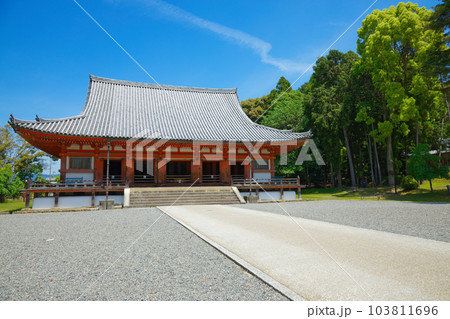 醍醐寺 金堂 若葉に新緑 青もみじ 醍醐寺 金堂 若葉に新緑 青もみじ 103811696