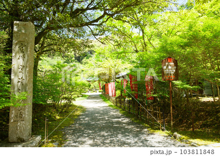 旧伝法学院 修行道場 若葉に新緑 青もみじ 醍醐寺 旧伝法学院 修行道場 若葉に新緑 青もみじ 醍醐寺 103811848