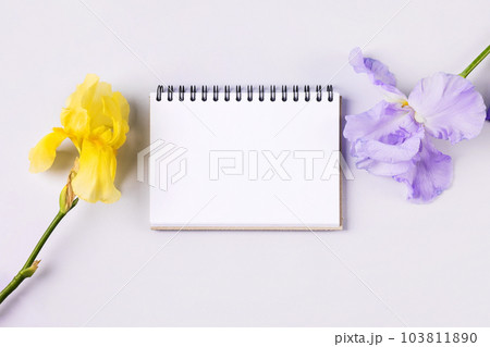 Notebook with clean page with purple and yellow flowers irises on orange background. Flat lay style. Notebook with clean page with purple and yellow flowers irises on orange background. Flat lay style. 103811890