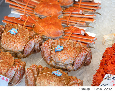札幌場外市場に並んだ茹でガニ　北海道 103812242