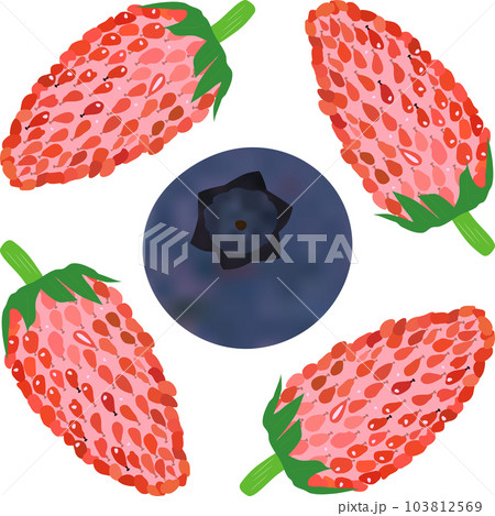 「ブルーベリーの実」一個 と「ワイルドストロベリーの実」四個 103812569