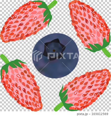 1個“藍莓果實”和4個“野草莓果實” 103812569