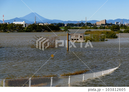 令和元年東日本台風・治水効果で水没した彩湖道満グリーンパーク(埼玉県) 令和元年東日本台風・治水効果で水没した彩湖道満グリーンパーク(埼玉県) 103812605